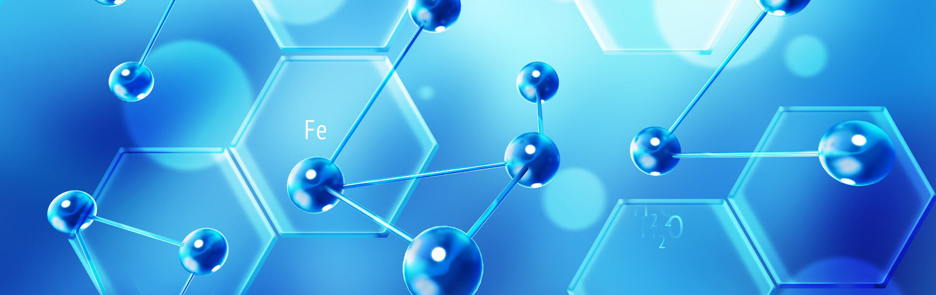 1900px 1 32a7aa1e 735e 4b82 b1db 876662fe99b5