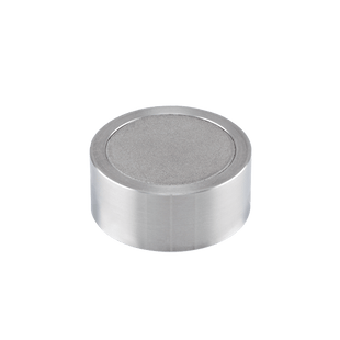 Prep Guard Column Cartridge, RP C12, 10um, 100A. 30mm ID x 10mm Length