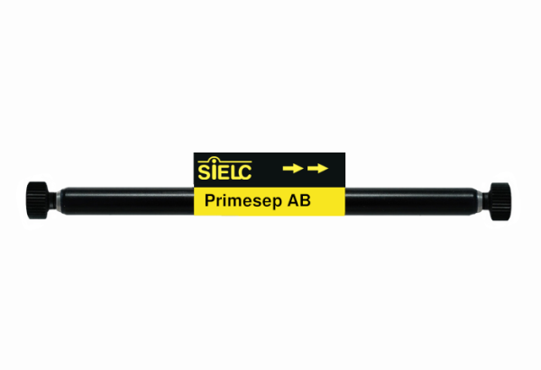 Primesep AB Column 3.2x25mm 5um 100A